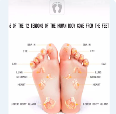 Miniatura 3 de masajeador cuello + tapete electrodos